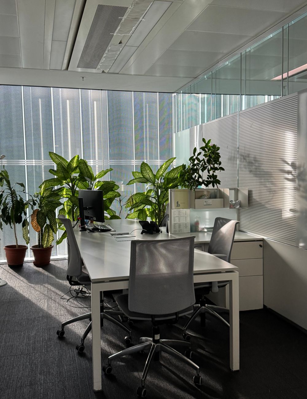Modern open-plan office interior divided by glass partition walls